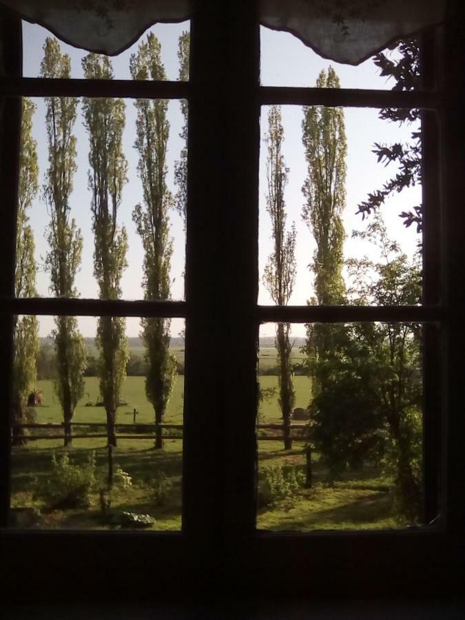 La Ferme Des Vignes Bed & Breakfast Hotot-en-Auge Exterior photo